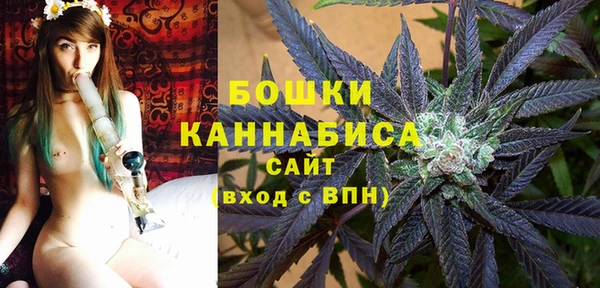 хмурый Верея