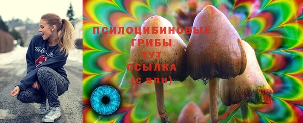 хмурый Верея